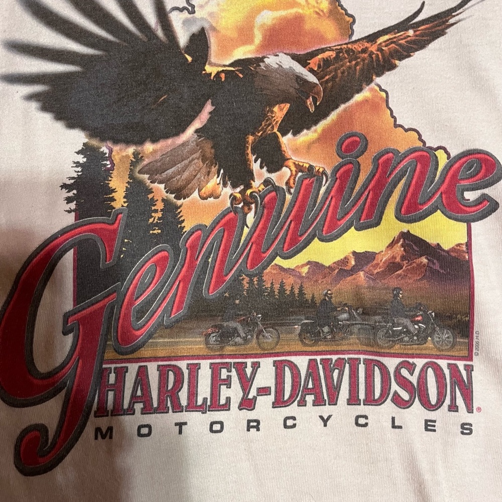 Vintage Harley Davidson T-shirt.